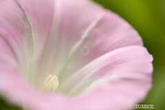 木場公園にて⑨