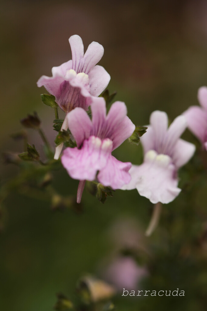 2016年2月大船にて⑥