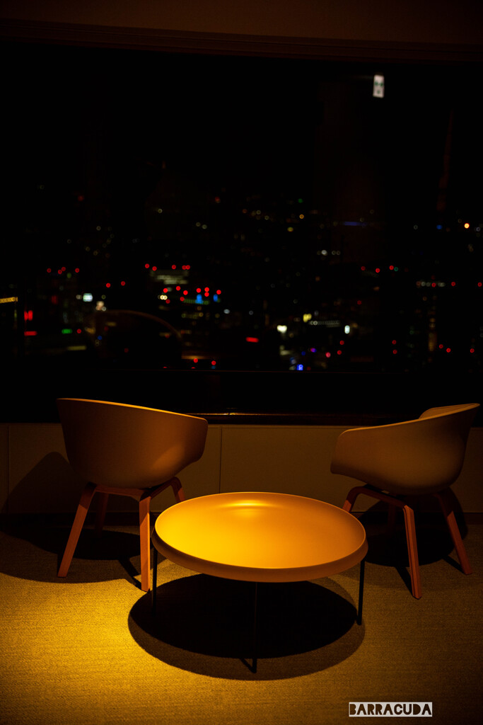 横浜ランドマークタワー展望台③