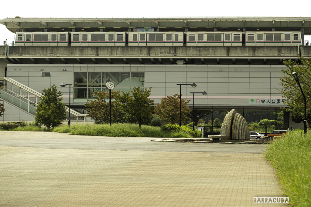 舎人(とねり)公園⑦