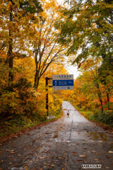 乳頭温泉郷の紅葉④