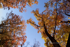 駒沢公園散策【前半】②