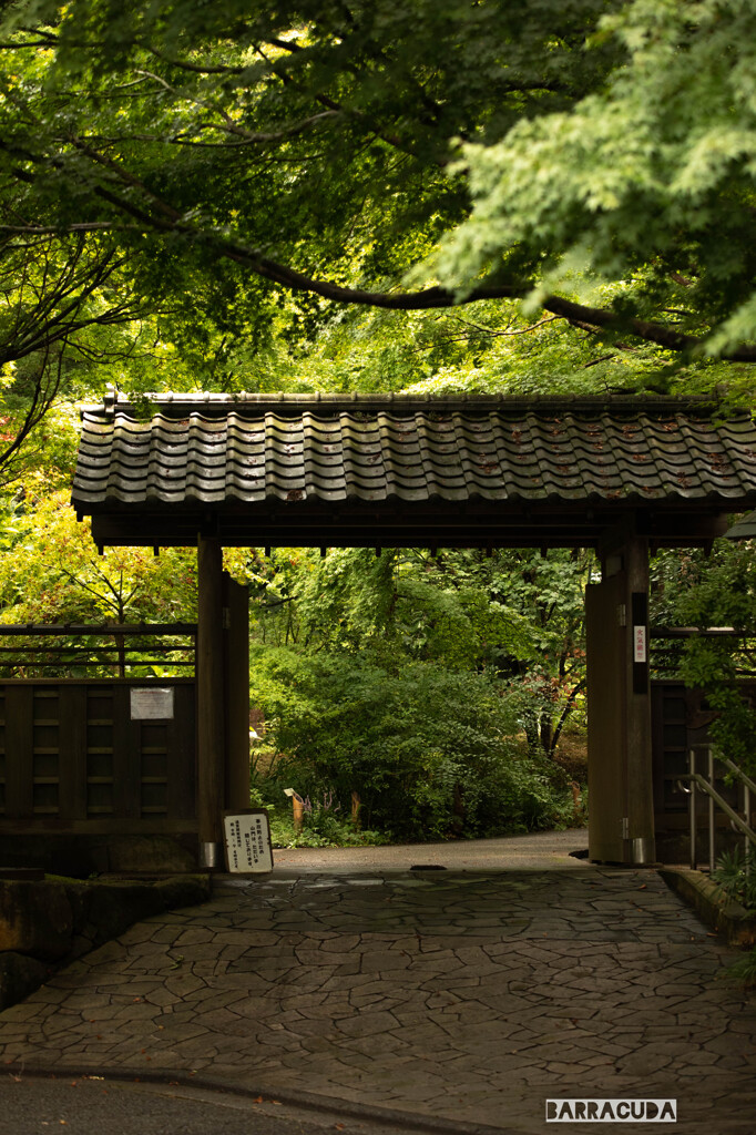 久良岐公園の続き⑤