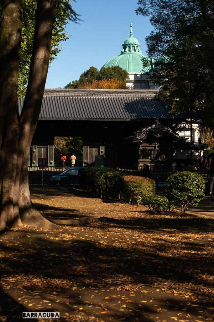 上野公園散策（第一弾）⑨