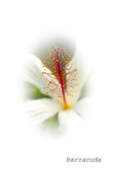 遊んでみました((+_+))②