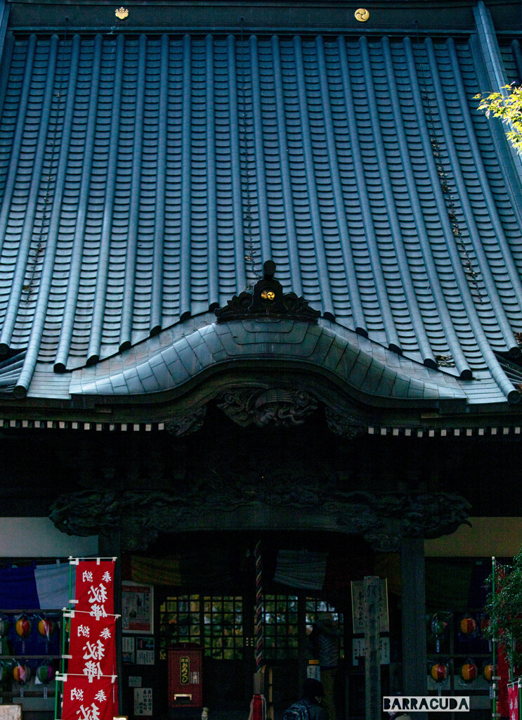 薬師池公園とリス園④　薬師堂