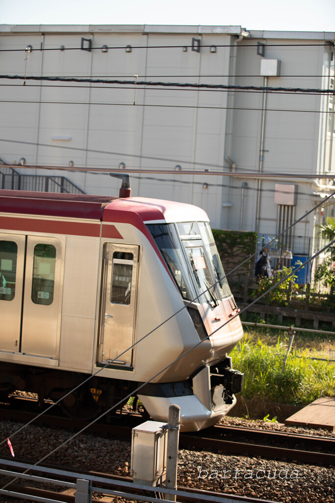 深沢・等々力界隈⑥