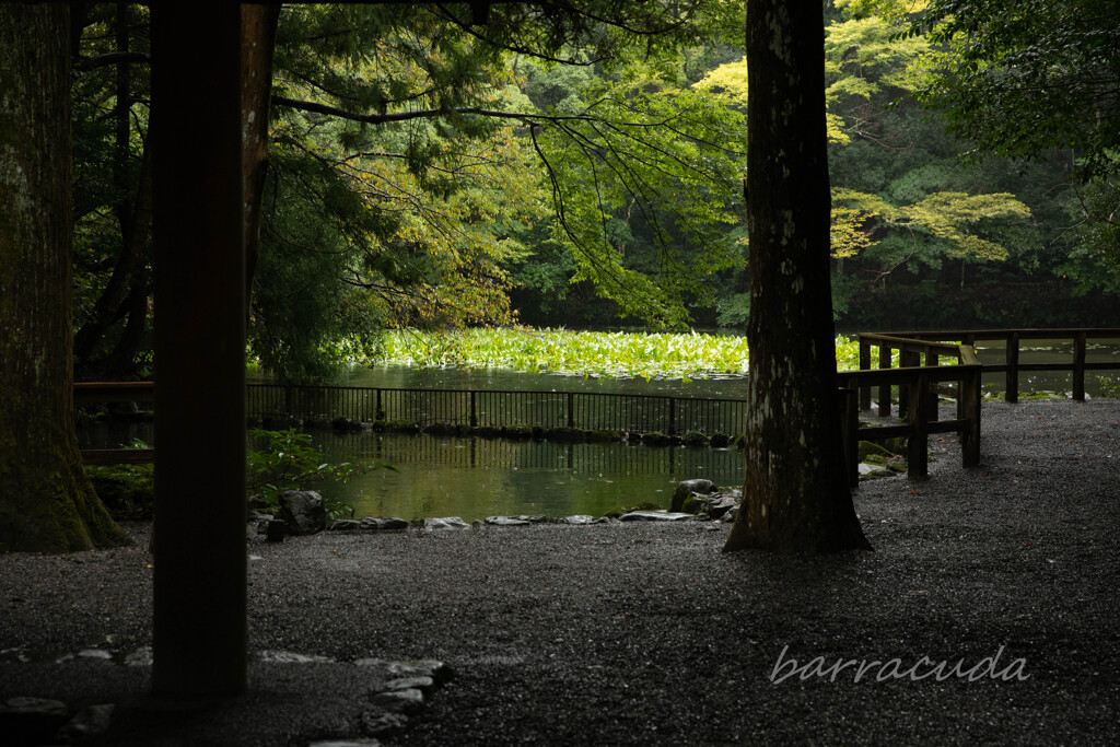 伊勢・熊野・高野山旅行シリーズ
