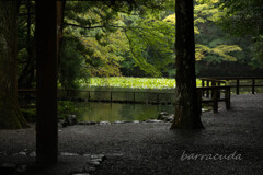 伊勢・熊野・高野山旅行シリーズ