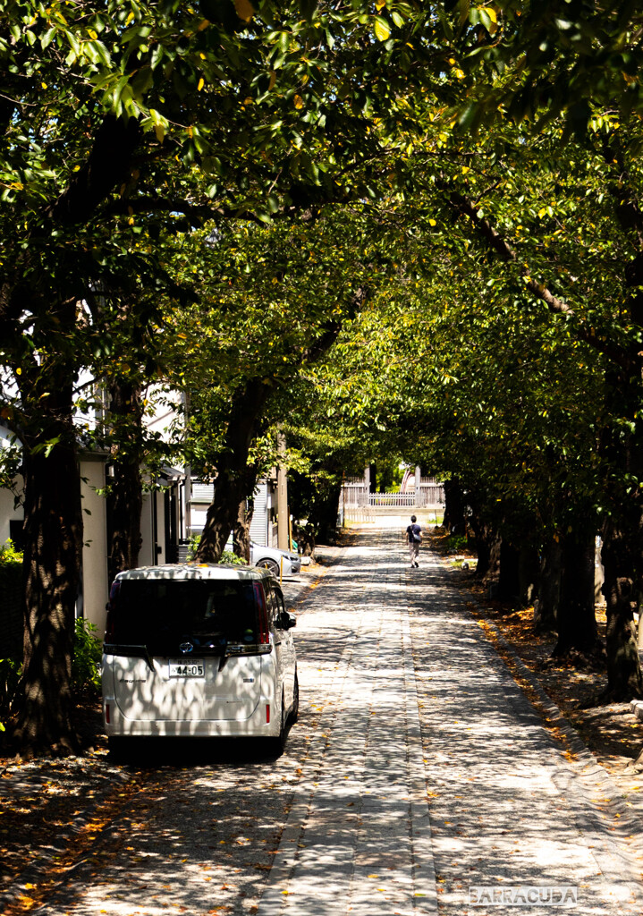 金沢区称名寺⑩