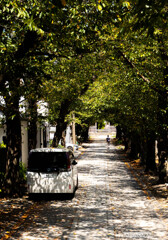 金沢区称名寺⑩