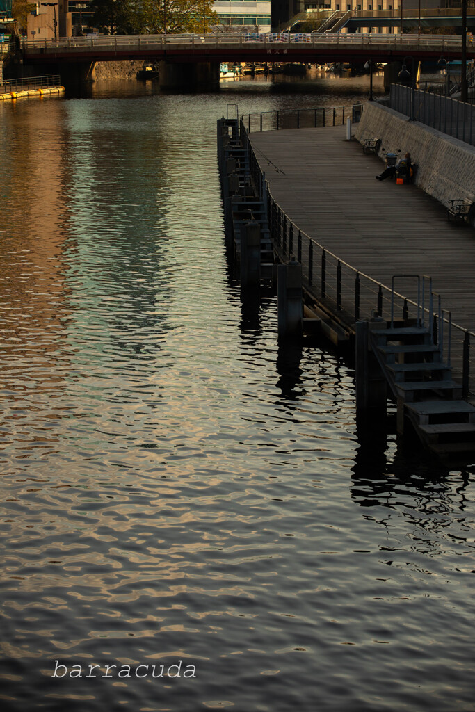 桜木町界隈散策④