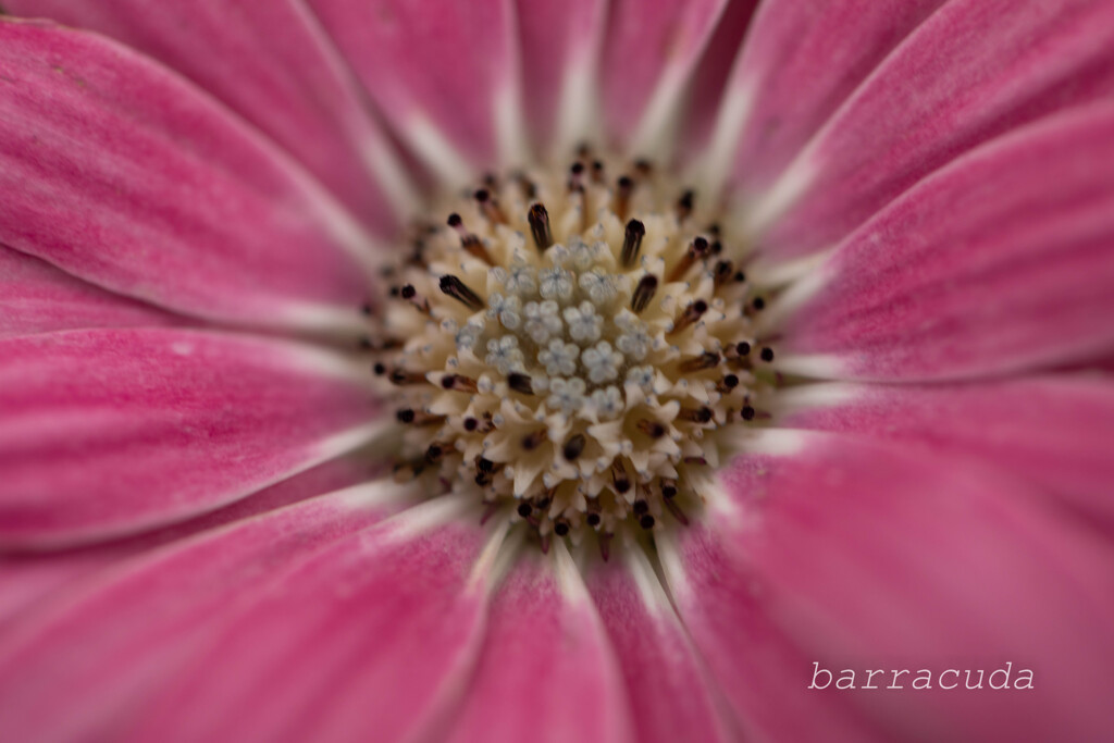 港が見える丘公園③