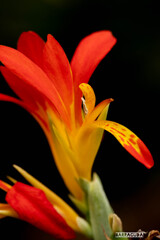 小さい秋を探しに⑥