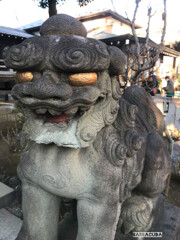 白山神社の狛犬