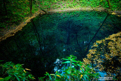 白神山地の青池