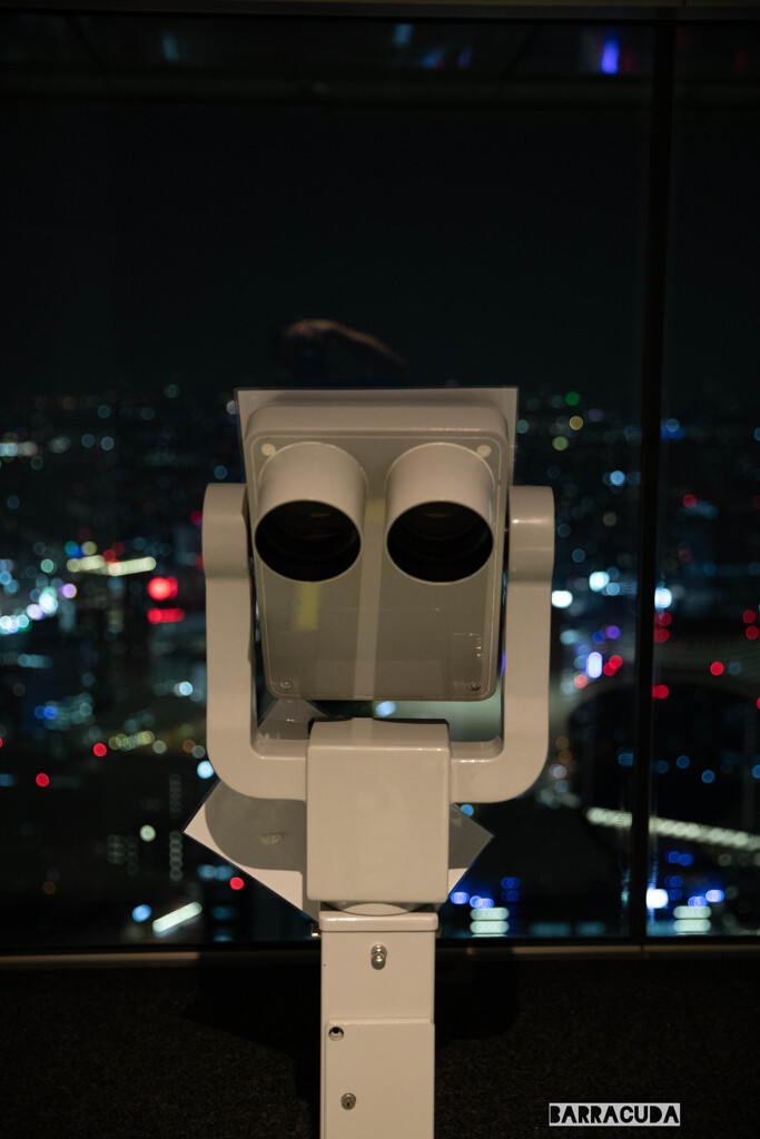 横浜ランドマークタワー展望台⑦