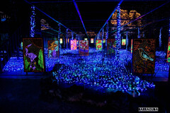 出雲旅行（紅葉編）⑨