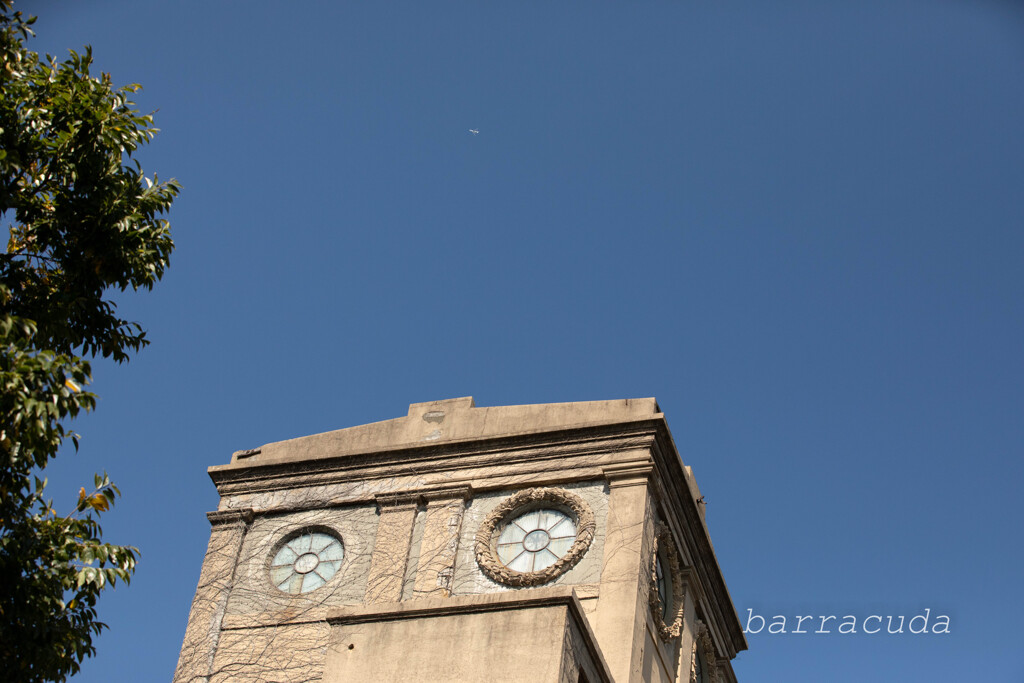 根岸森林公園シリーズ