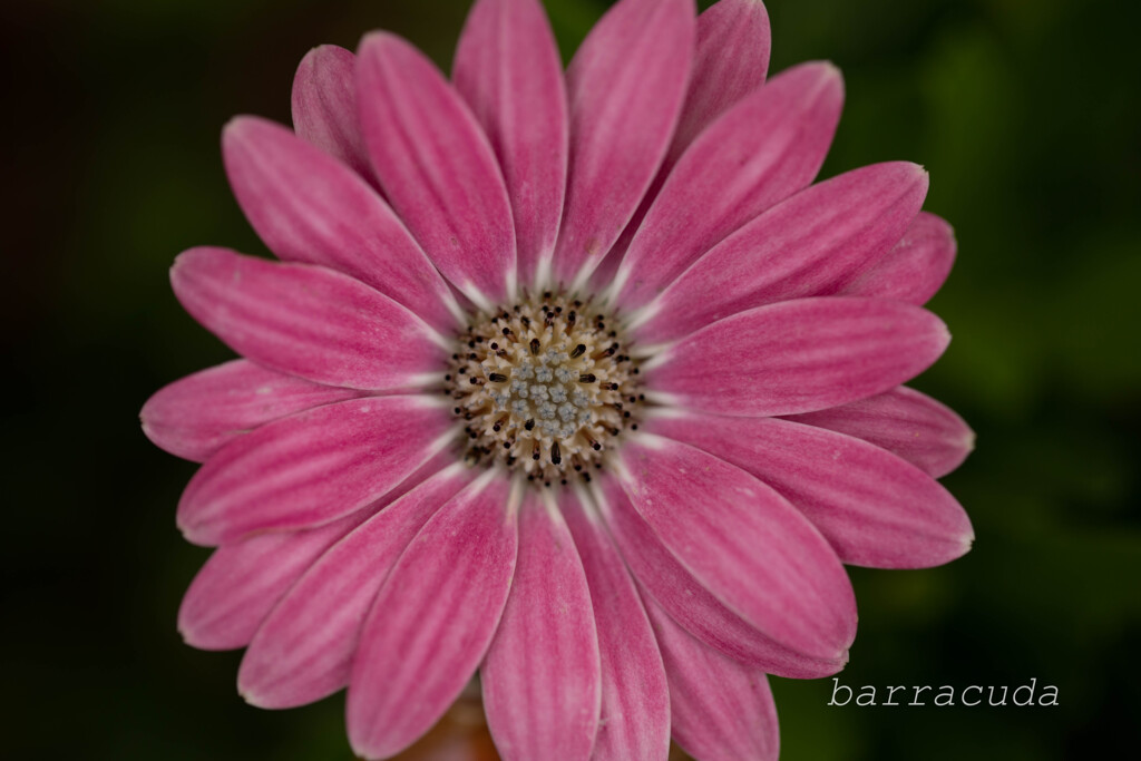 港が見える丘公園②