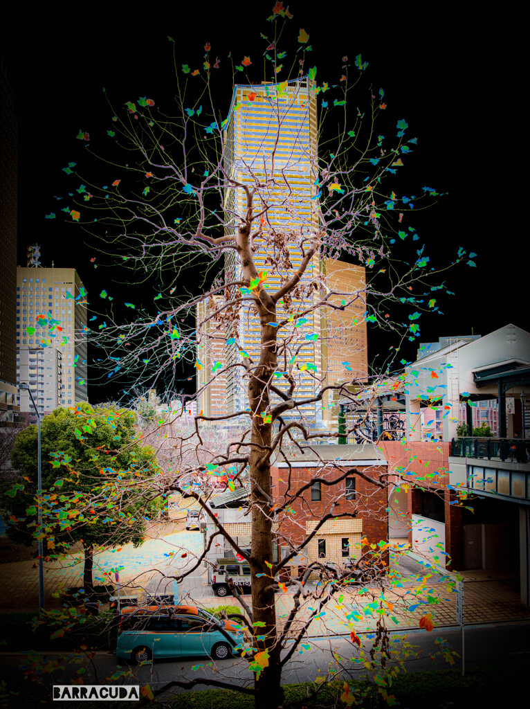 作品『刹那の変貌』