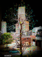 作品『刹那の変貌』