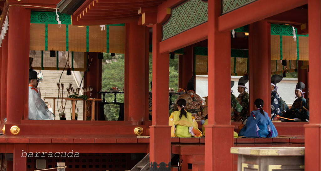 鎌倉・鶴岡八幡宮