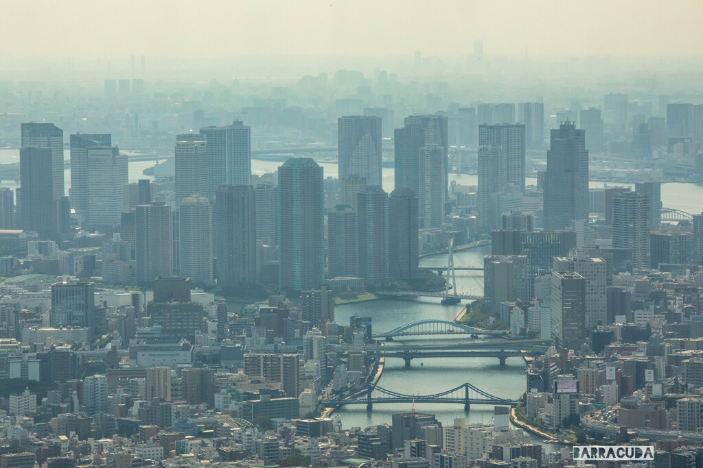 初めてのスカイツリー①