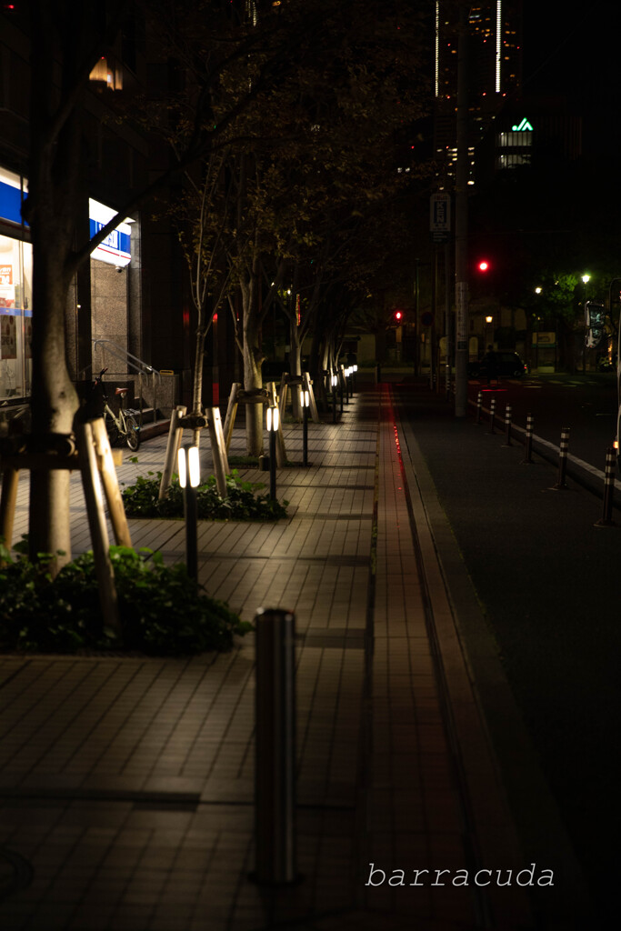 丘公園からの帰り道⑥