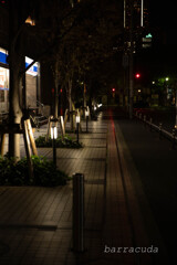 丘公園からの帰り道⑥