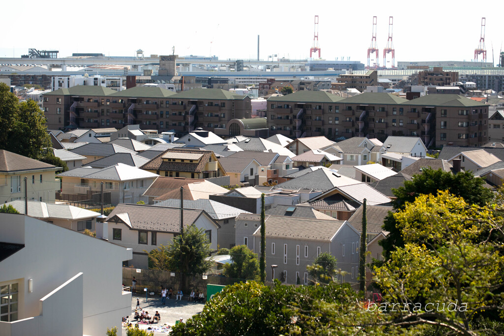 本牧山頂公園シリーズ