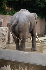 金沢動物園にて