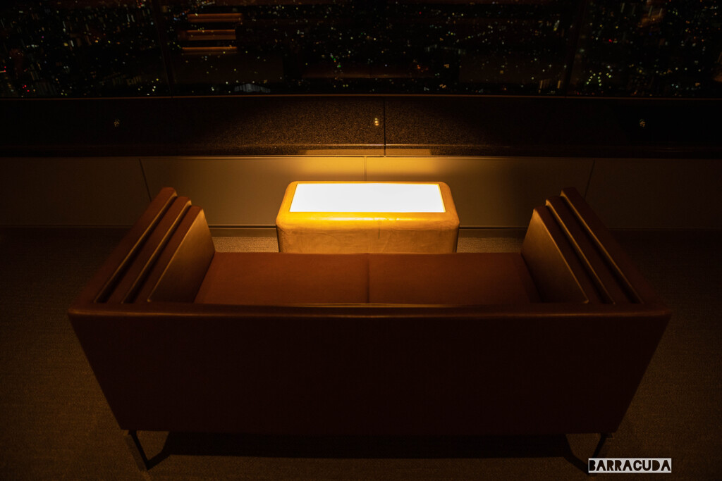 横浜ランドマークタワー展望台⑤