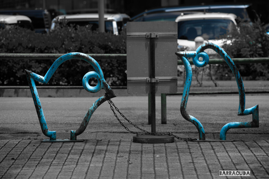 横十間川親水公園⑥　～青い鳥～