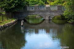 横十間川親水公園① ~まなざし~