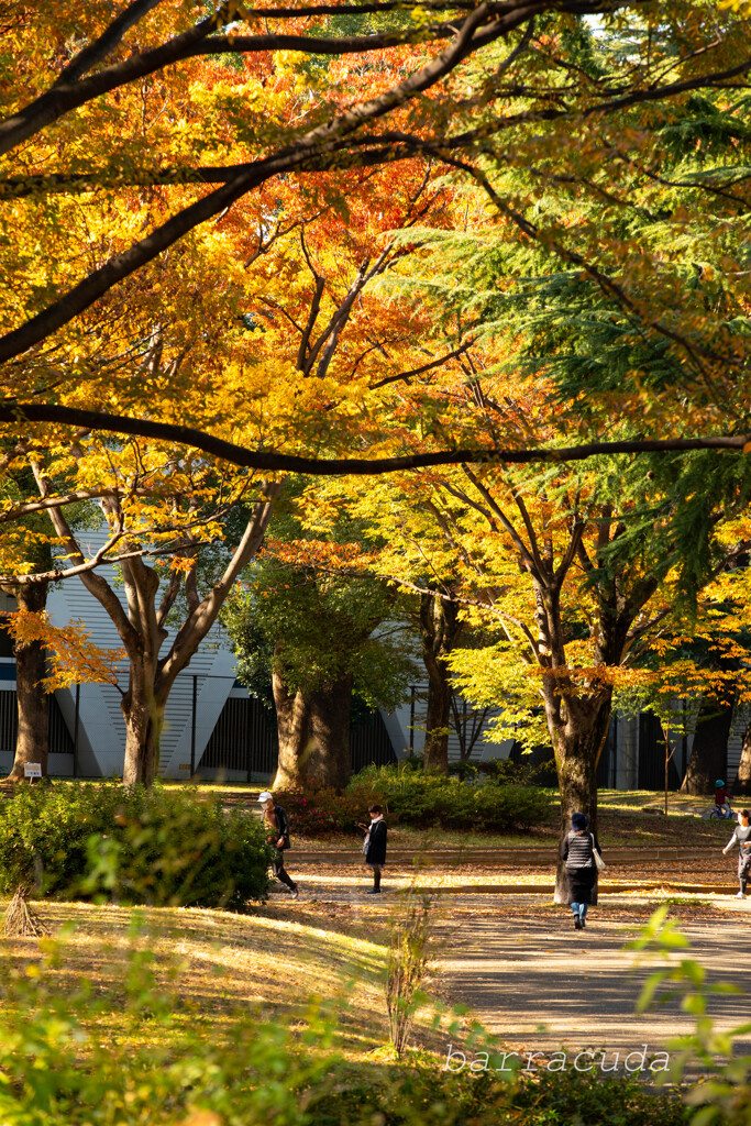 駒沢公園散策【後半】②
