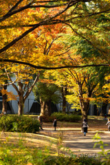 駒沢公園散策【後半】②