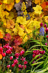 日比谷公園へ④