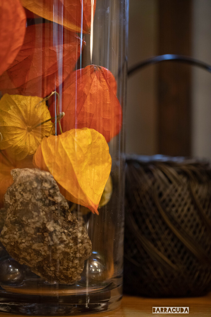 神代植物公園にて①