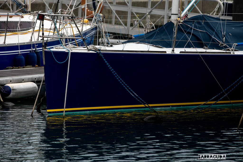 江の島ヨットハーバー⑤