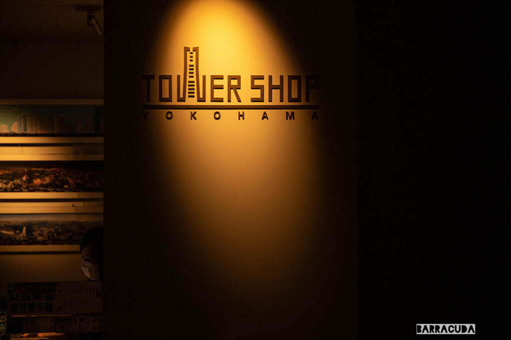 横浜ランドマークタワー展望台④