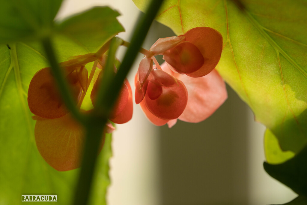 長久保公園にて③