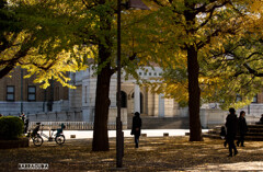 上野公園散策（第一弾）⑤