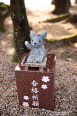 万九千神社のねずみたち③