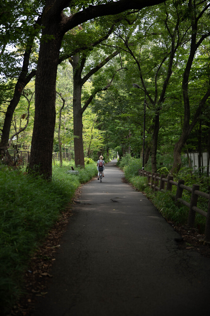 玉川上水緑道シリーズ3