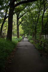 玉川上水緑道シリーズ3