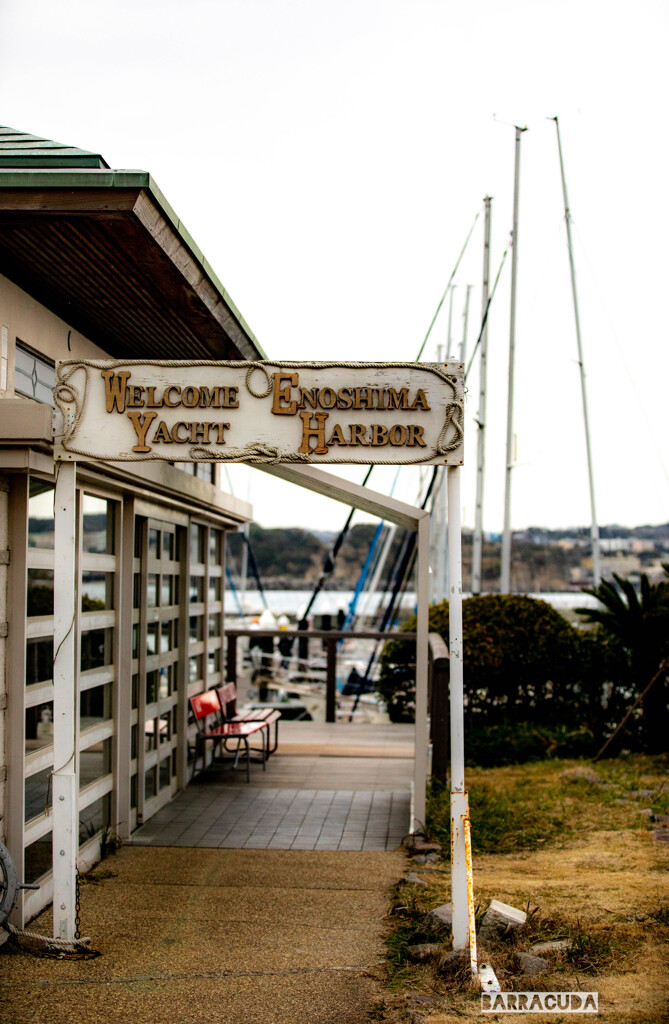 江の島ヨットハーバー⑦