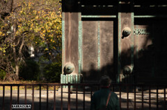 上野公園散策（第一弾）⑧