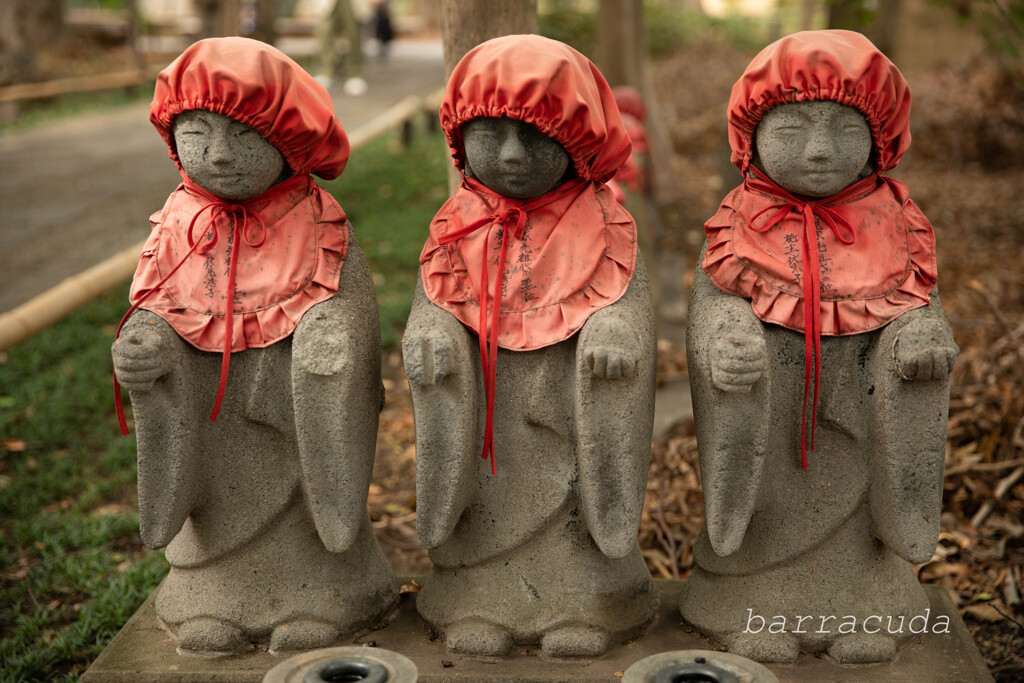 九品仏・浄真寺①