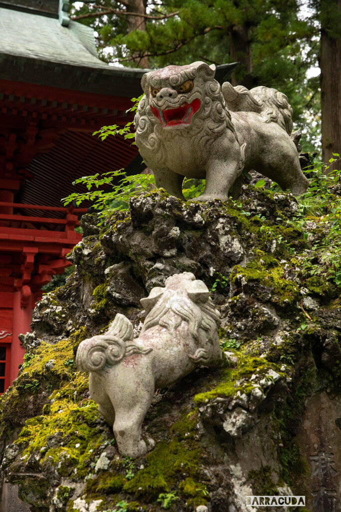 富士山周辺の神社④
